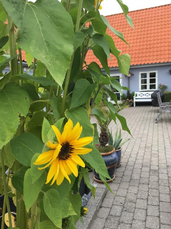 Apartament Ebeltoft Centrum Zewnętrze zdjęcie